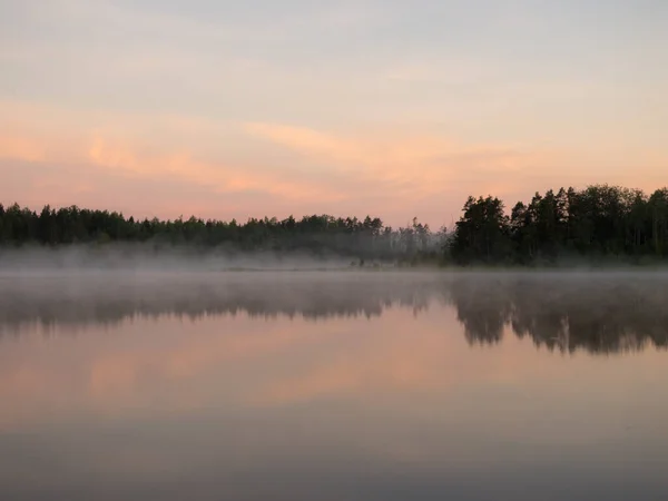 Letní Krajina Ranní Mlhou Lesním Jezeře — Stock fotografie