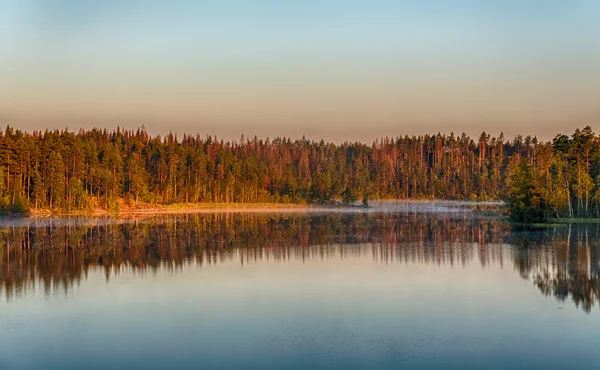 Morning landscape — Stock Photo, Image