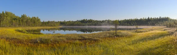Panorama of a forest lake and marsh — Stock Photo, Image