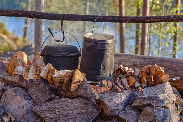 Drogen van paddestoelen — Stockfoto