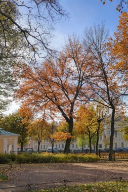 Güneşli bir günde sonbahar parkı