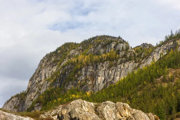 岩の上の秋の森 — ストック写真