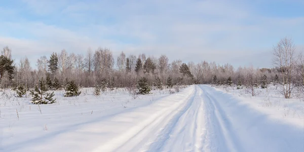 Jour d'hiver — Photo