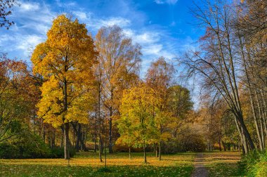 parlak güneşli manzara