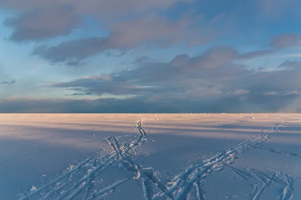 Vinter kväll — Stockfoto