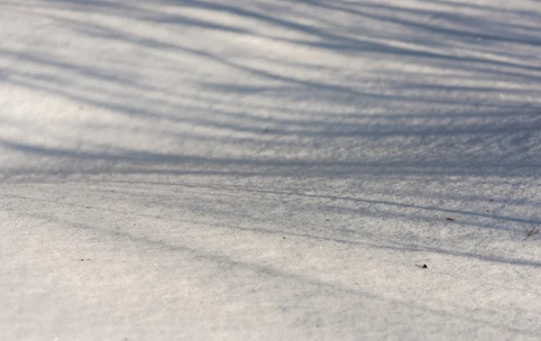 Winter shadows — Stock Photo, Image