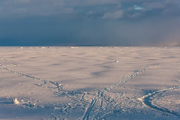 Frozen sea — Stock Photo, Image