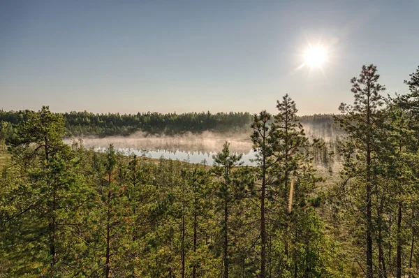 Morgensonne — Stockfoto