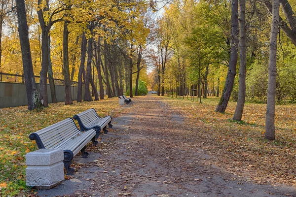 Φθινόπωρο πάρκο με παγκάκια — Φωτογραφία Αρχείου
