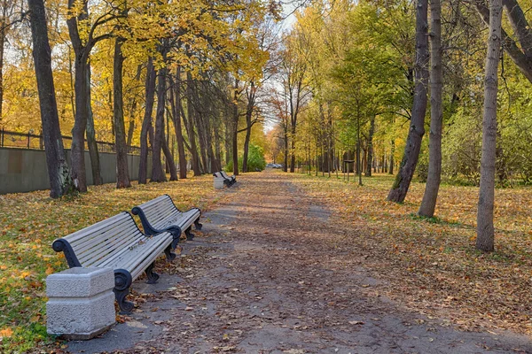 Parque de Otoño con bancos —  Fotos de Stock