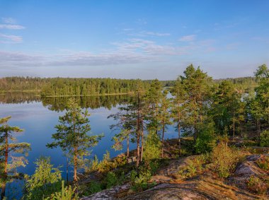 güneşli yaz peyzaj
