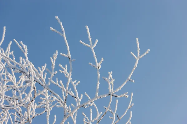 Winterabstrakt — Stockfoto