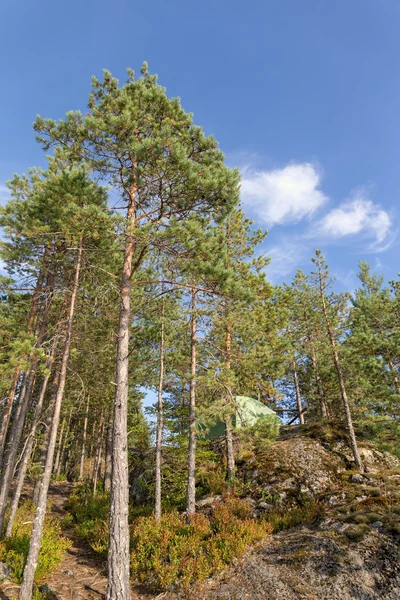 Tenda na floresta — Fotografia de Stock