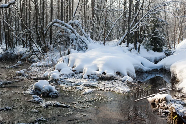 Día de invierno — Foto de Stock