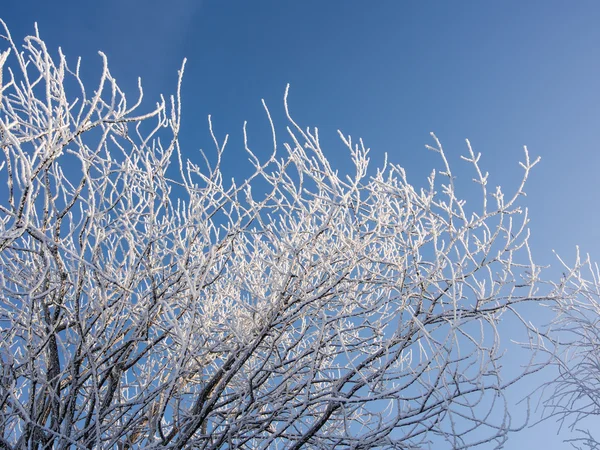 Wintertakken — Stockfoto