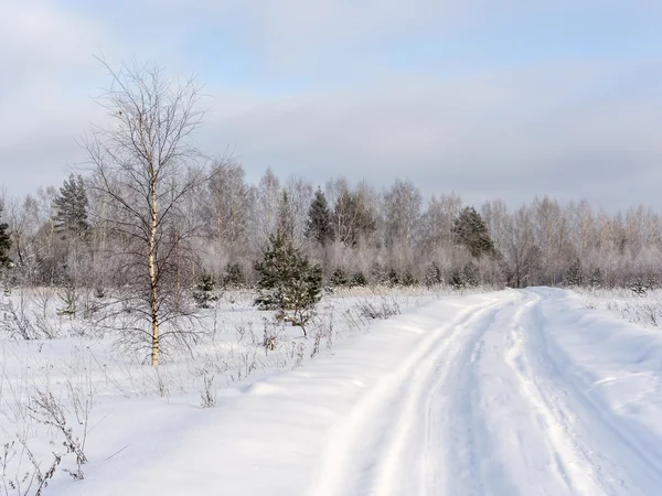 Strada di campagna invernale — Foto Stock