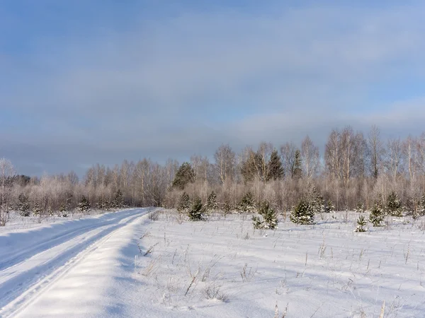 Journée froide et ensoleillée — Photo