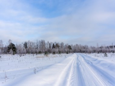 soğuk kırsal manzara