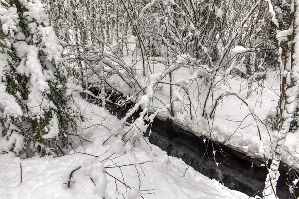 Paysage enneigé d'hiver — Photo