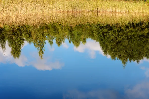 Réflexions ensoleillées — Photo