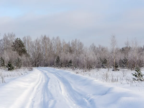 Rural road — Stock Photo, Image