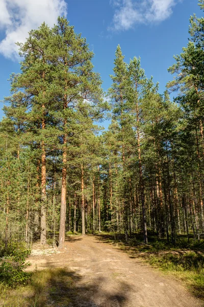 Onverharde weg — Stockfoto