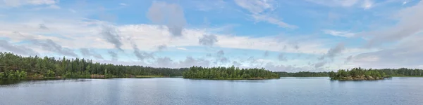 Панорама лісового озера — стокове фото