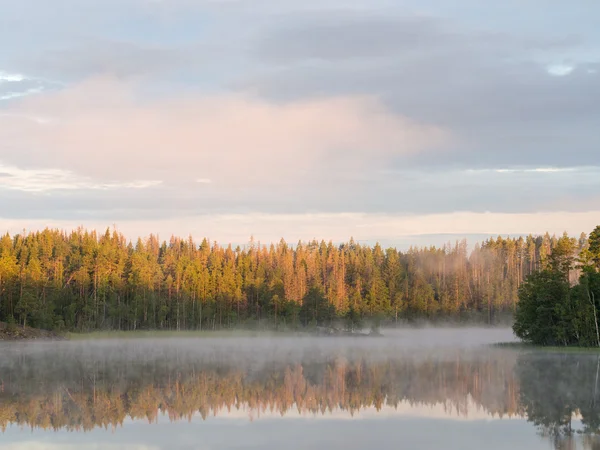 Лесное озеро с утренним туманом — стоковое фото