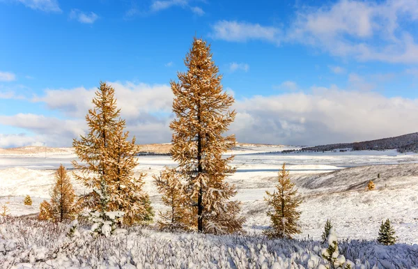 Primeira neve — Fotografia de Stock