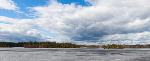 Forest lake in the spring — Stock Photo, Image