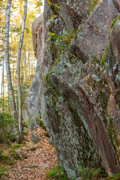 Felsen im Herbstwald — Stockfoto