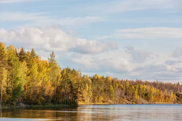 Forest lake in autumn Royalty Free Stock Photos