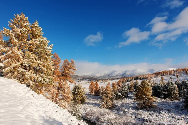 Primera nieve en las montañas — Foto de Stock