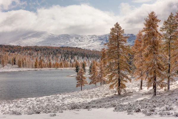 Sjö i fjällen — Stockfoto