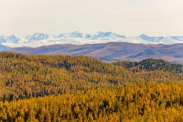 Paisagem nas montanhas — Fotografia de Stock