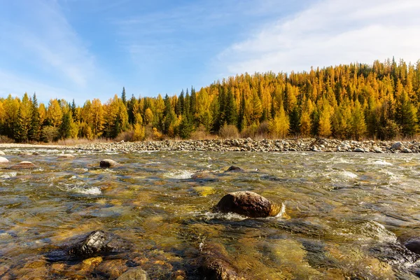 Fiume di montagna — Foto Stock