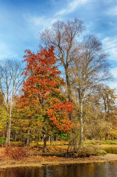 Sonbaharın Renkleri — Stok fotoğraf