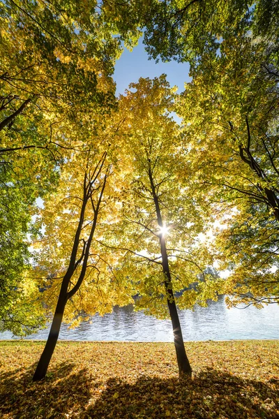 Güneşli bir sonbahar — Stok fotoğraf