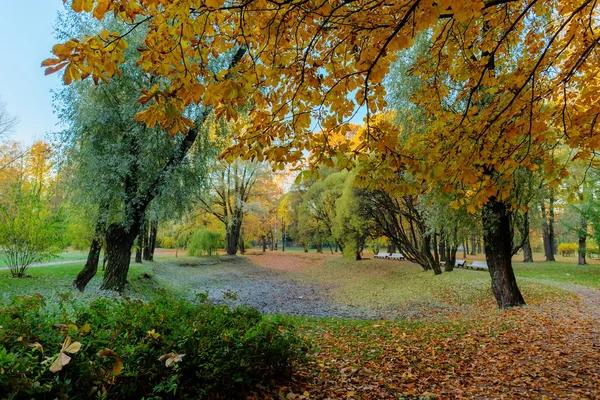 Paesaggio autunnale con alberi decidui — Foto Stock