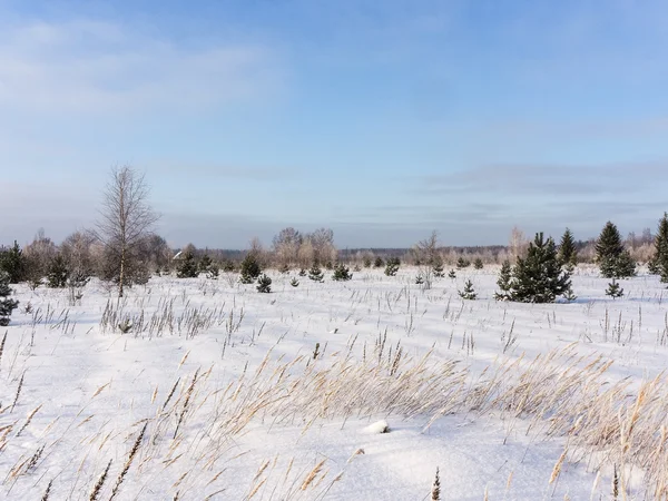 겨울 맑은 날 — 스톡 사진