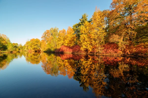 Paysage symétrique d'automne — Photo