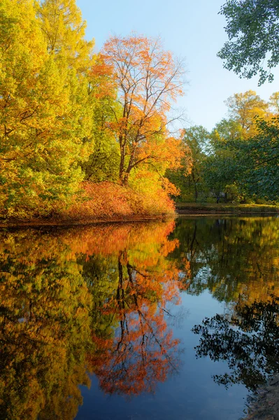 Herfst landschap met reflectie — Stockfoto