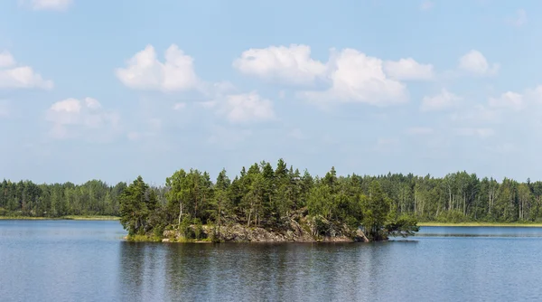 Île rocheuse dans le lac forestier — Photo