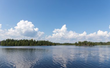 orman göl güneşli yaz