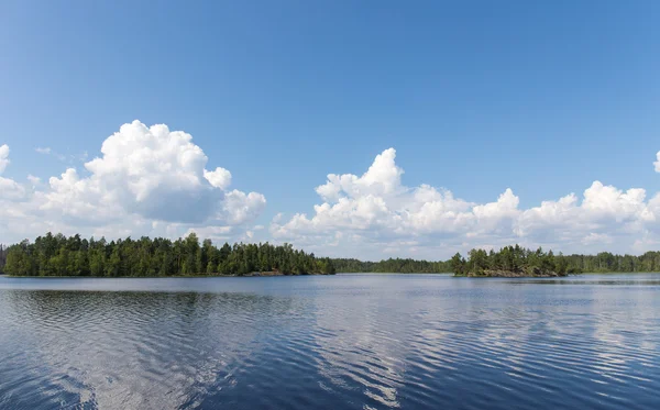 orman göl güneşli yaz