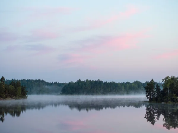 Waldsee mit Morgennebel — Stockfoto