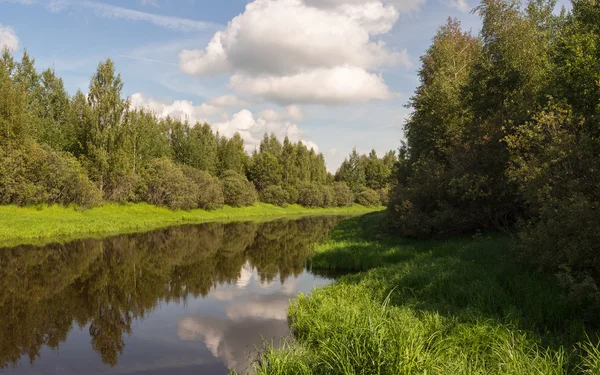 Paisaje de verano con un pequeño río — Foto de Stock