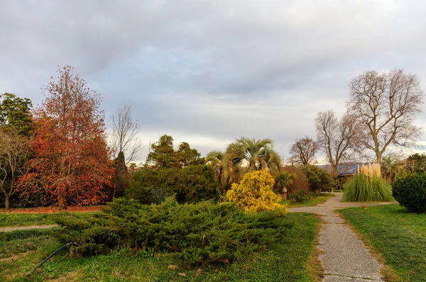 Déli park ősszel — Stock Fotó