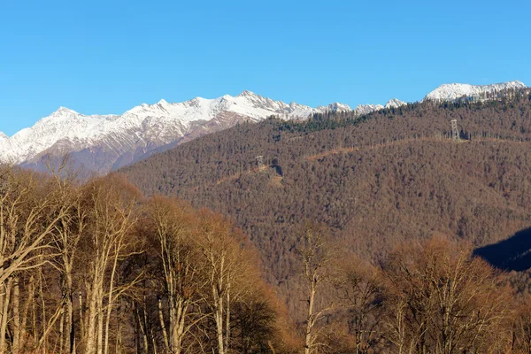 Kaukasusberge mit Bäumen — Stockfoto