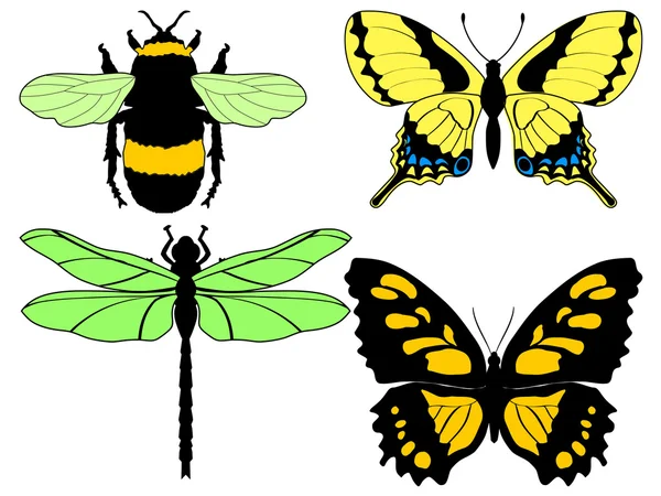 さまざまな昆虫のベクトル イラストのセット — ストックベクタ